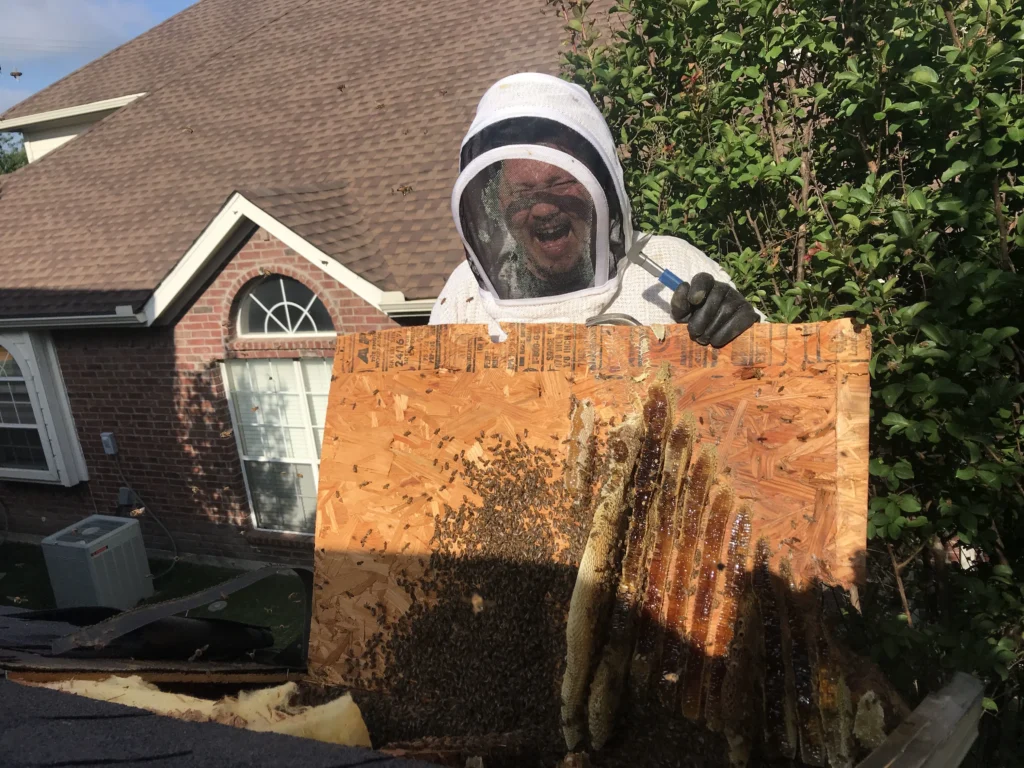 Emergency Bee Response Service: Fast, Safe & Professional Bee Removal When You Need It Most