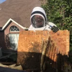 Emergency Bee Response Service: Fast, Safe & Professional Bee Removal When You Need It Most